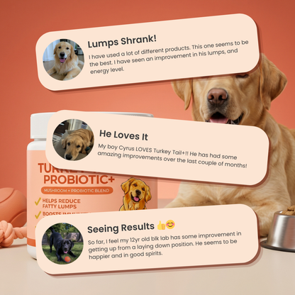Turkey Dog Supplement