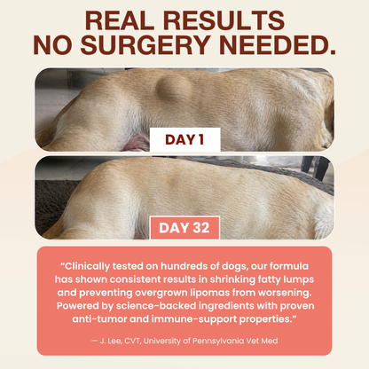Turkey Dog Supplement